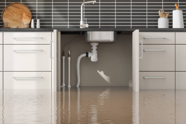 Trusted Water Damage Restoration in Flora Vista, NM | Fast, Reliable, and Ready to Assist You